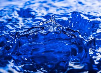 Dlaczego warto zamówić dystrybutor wody do biura