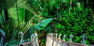 Czy kurs AFF jest trudny?