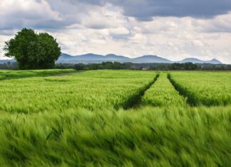 Jak wzmocnić kolana przed nartami?