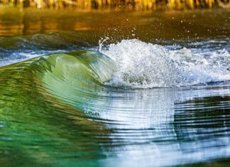 Co jest lepsze Tidal Czy Apple Music?