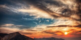 W jakich godzinach najlepiej biorą płocie?