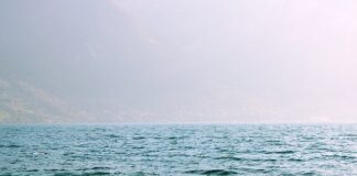 Do jakiej prędkości rozpędza się człowiek Spadając?