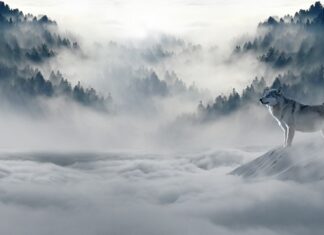 Czy zimą można nosić białe spodnie?