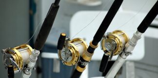 Jakie kołowrotki do wędki na spławik?