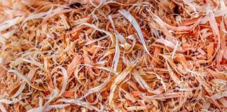 Jaki pilnik do nart?