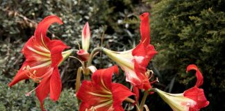 Czy wysiłek fizyczny obniża ciśnienie?