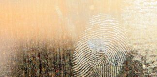 Jaki smar do nart skiturowych?