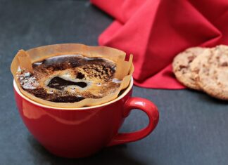 Czy filtr w akwarium musi być cały czas zanurzony w wodzie?