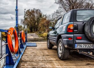 Czy można przewozić psa na kolanach?