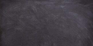 Kiedy uczyć szczeniaka chodzenia na smyczy?